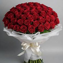 Букет 101 Красная роза Блэк Мэджик в Верхошижемье
