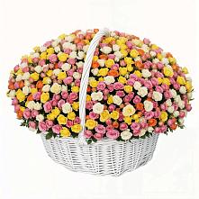 Премиум букет из: Розы в Верхошижемье