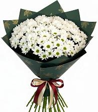 Букет цветов из:  Хризантемы в Верхошижемье