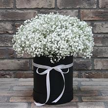 Цветочная композиция из Гипсофила в шляпной коробке #REPLACE_PRED# Верхошижемье