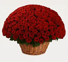 Премиум букет из: Розы в Верхошижемье